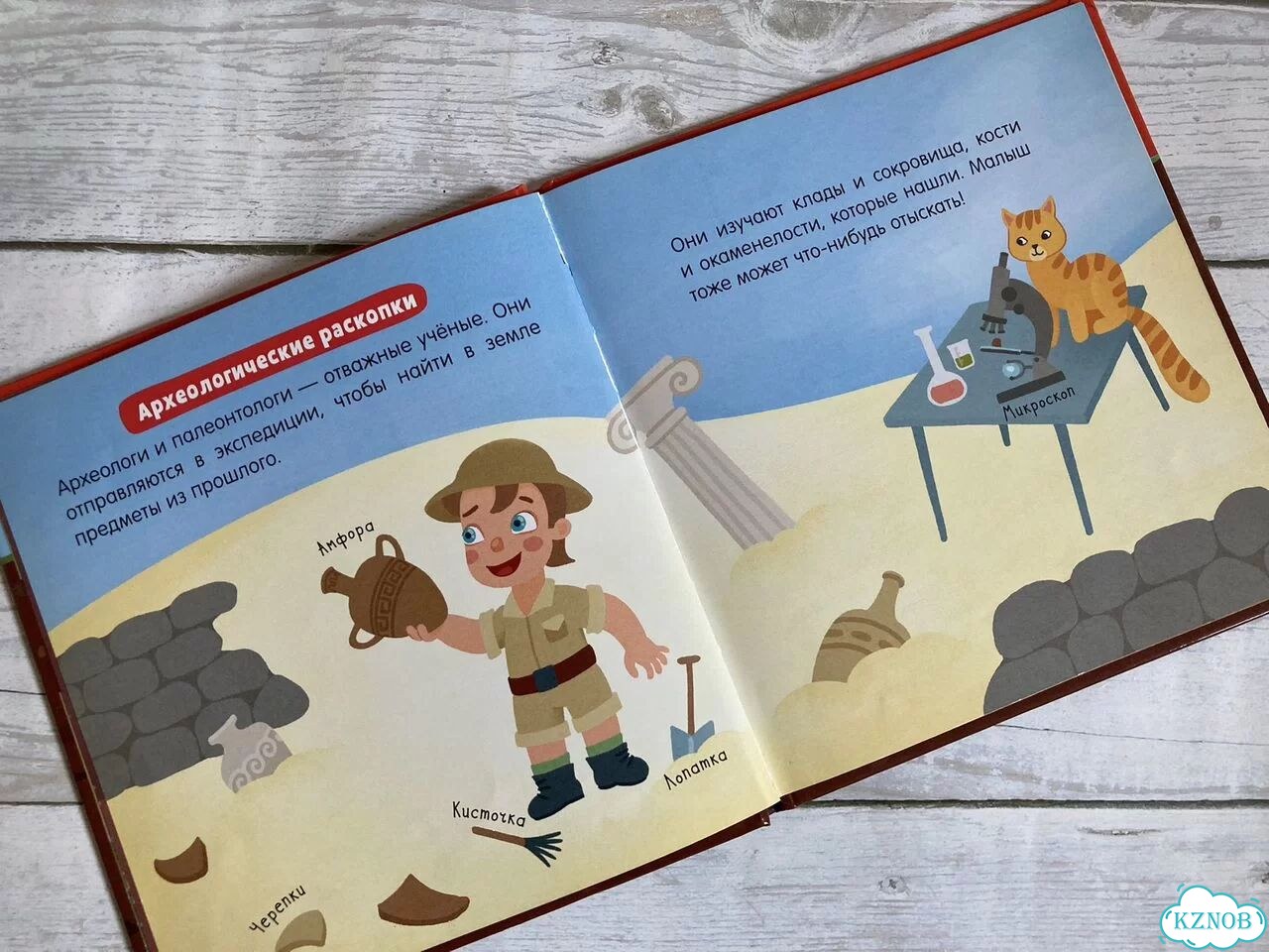Книга Clever Наука для малышей фото 3