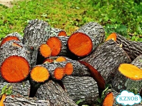 Дрова Ольха для копчения, для смокера фото 1