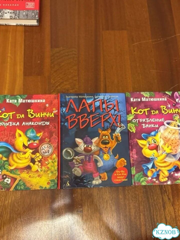 Детские книги Катя Матюшкина фото 1