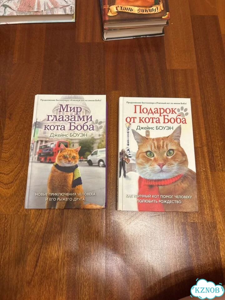Книли Джеймс Боуэн фото 1