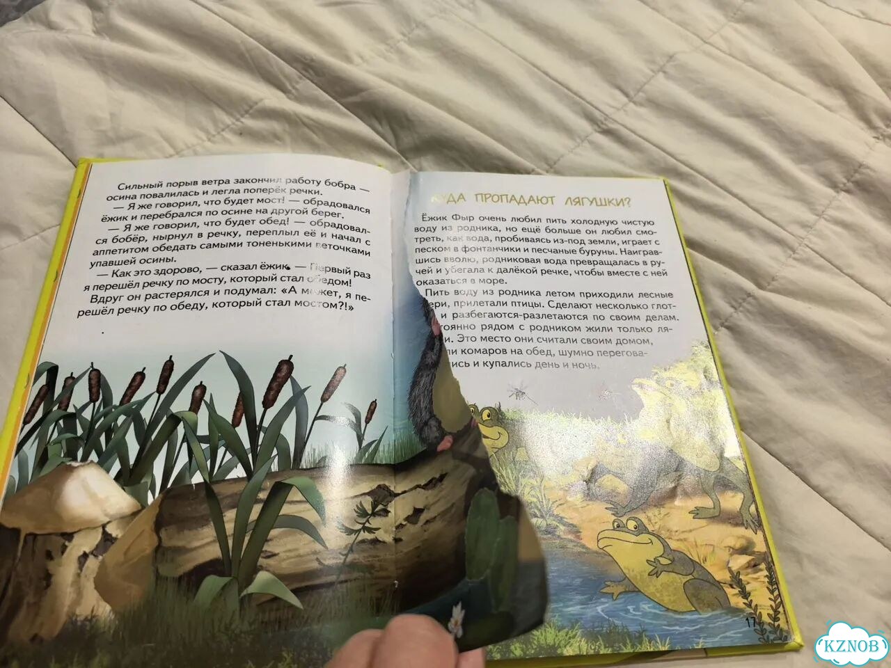 Детские книги фото 10