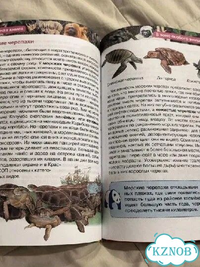 Детские книги фото 2