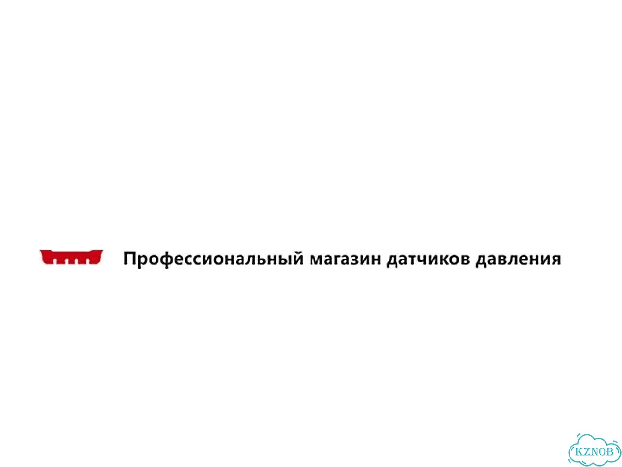 Датчики давления в шинах SWM, оригинал, новые фото 9