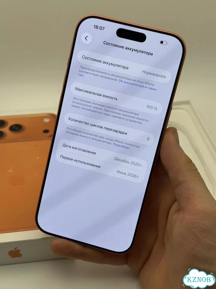 iPhone 17 Pro Max, 256 ГБ, eSIM фото 5