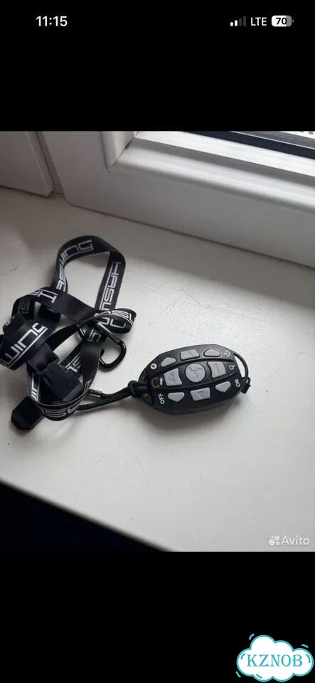 Электроякорь Haswing cayman B 55lbs 12v 152 фото 1