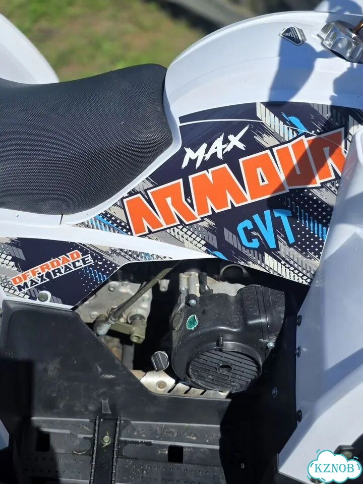 Armour AFX 250, 2023, 700 км фото 10