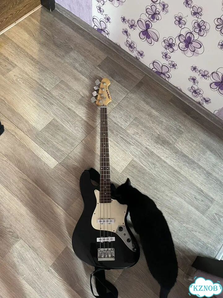 Aria stb series bass фото 6