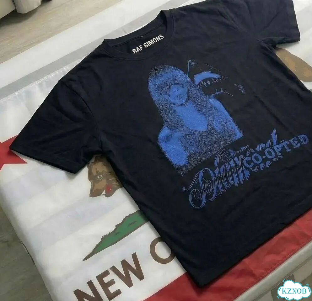 Футболка Raf Simons restricted blue новинка фото 7