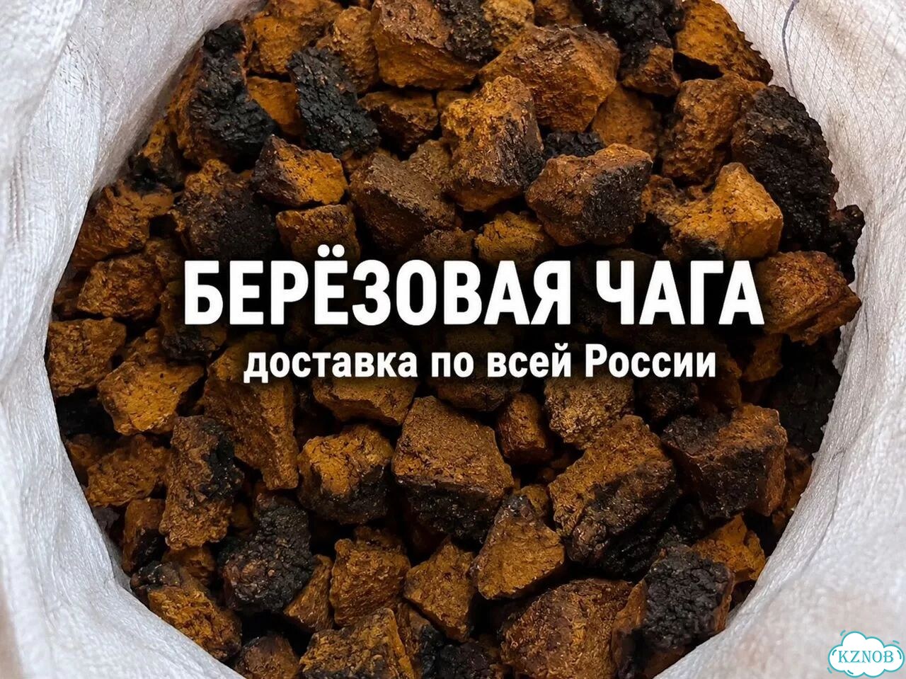 Чага березовая - От 1 кг - Доставка фото 1