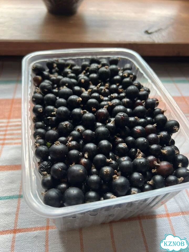 Продам смородину фото 1
