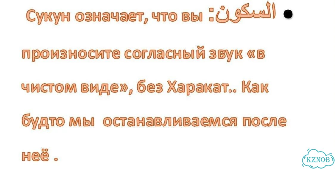 Репетитор арабского языка фото 7
