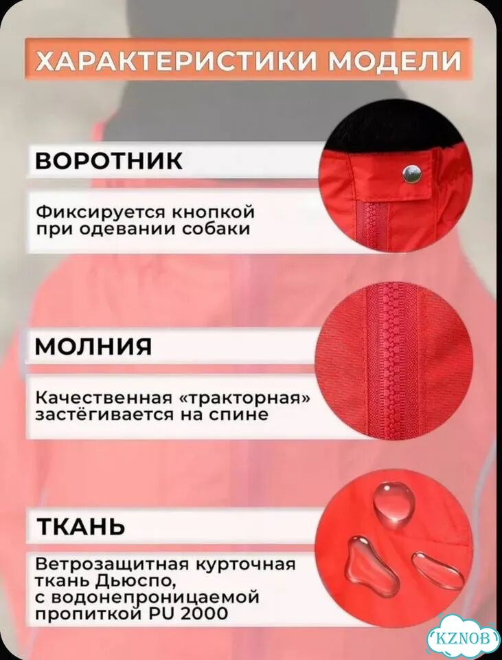 Комбинезон для собак средних небольших пород фото 6