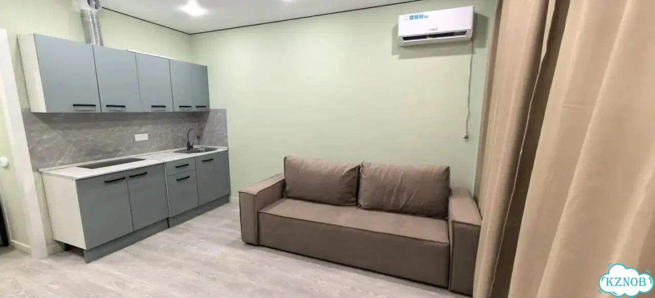 Квартира-студия, 26 м², 11/12 эт. фото 2
