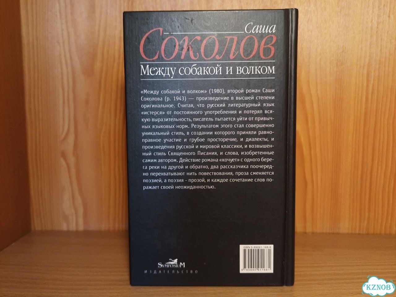 Саша Соколов Между собакой и волком фото 2