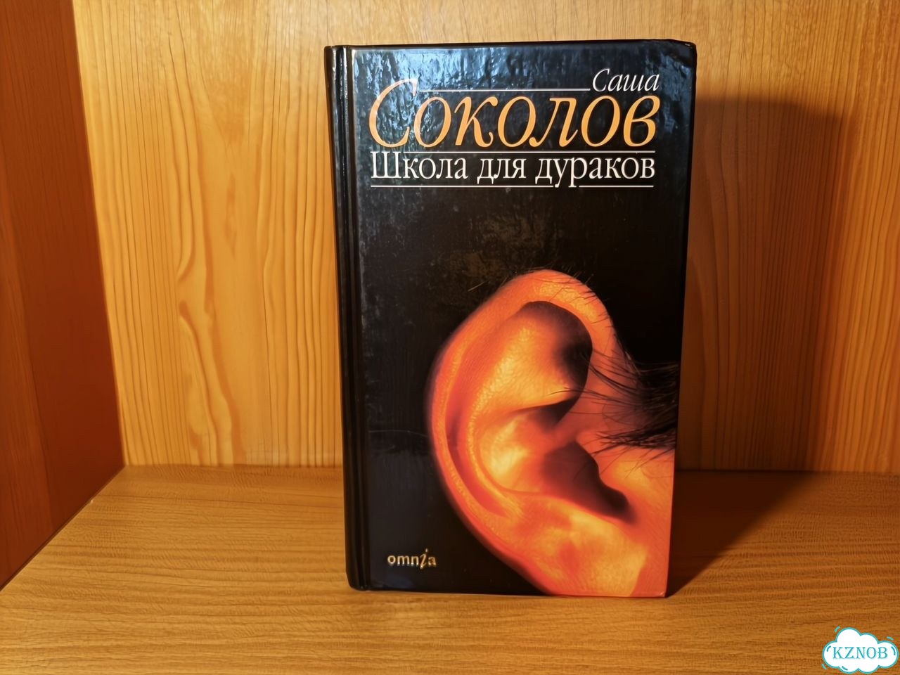 Саша Соколов Школа для дураков фото 1