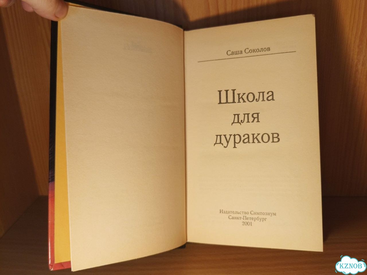 Саша Соколов Школа для дураков фото 7