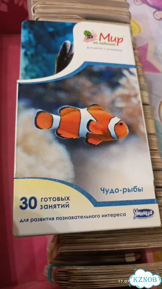 Мир на ладошке Умница фото 3