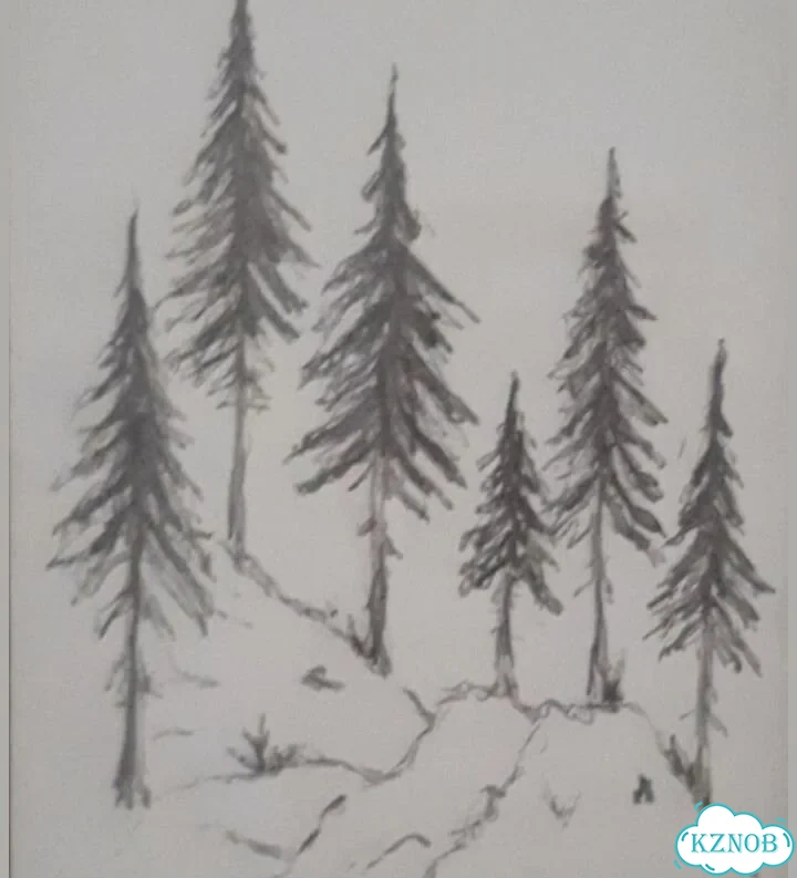 Рисунки фото 2