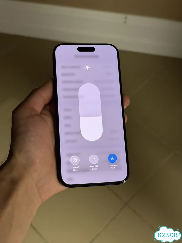iPhone 16 Pro Max, 256 ГБ фото 2