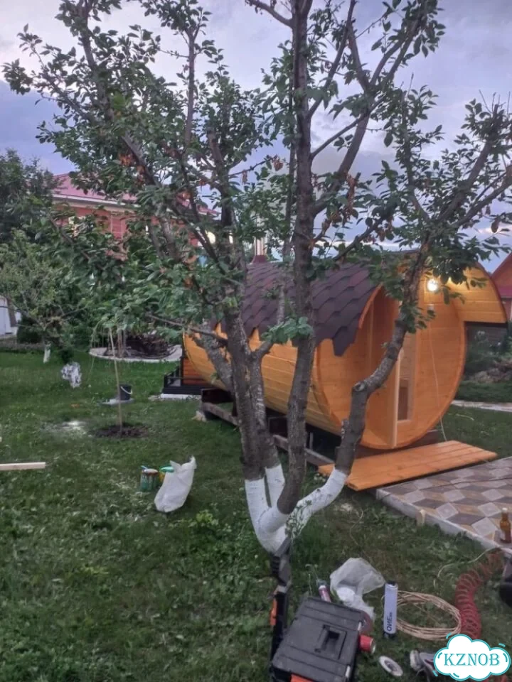 Утята/гусята 21 день фото 6