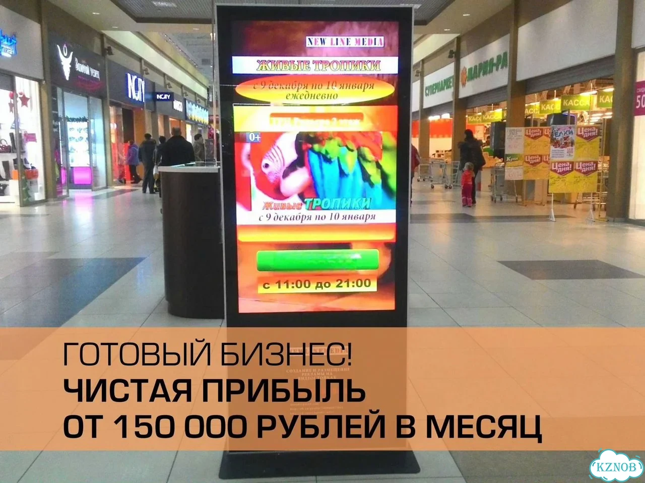 Готовый бизнес на LCDтyмбах фото 3