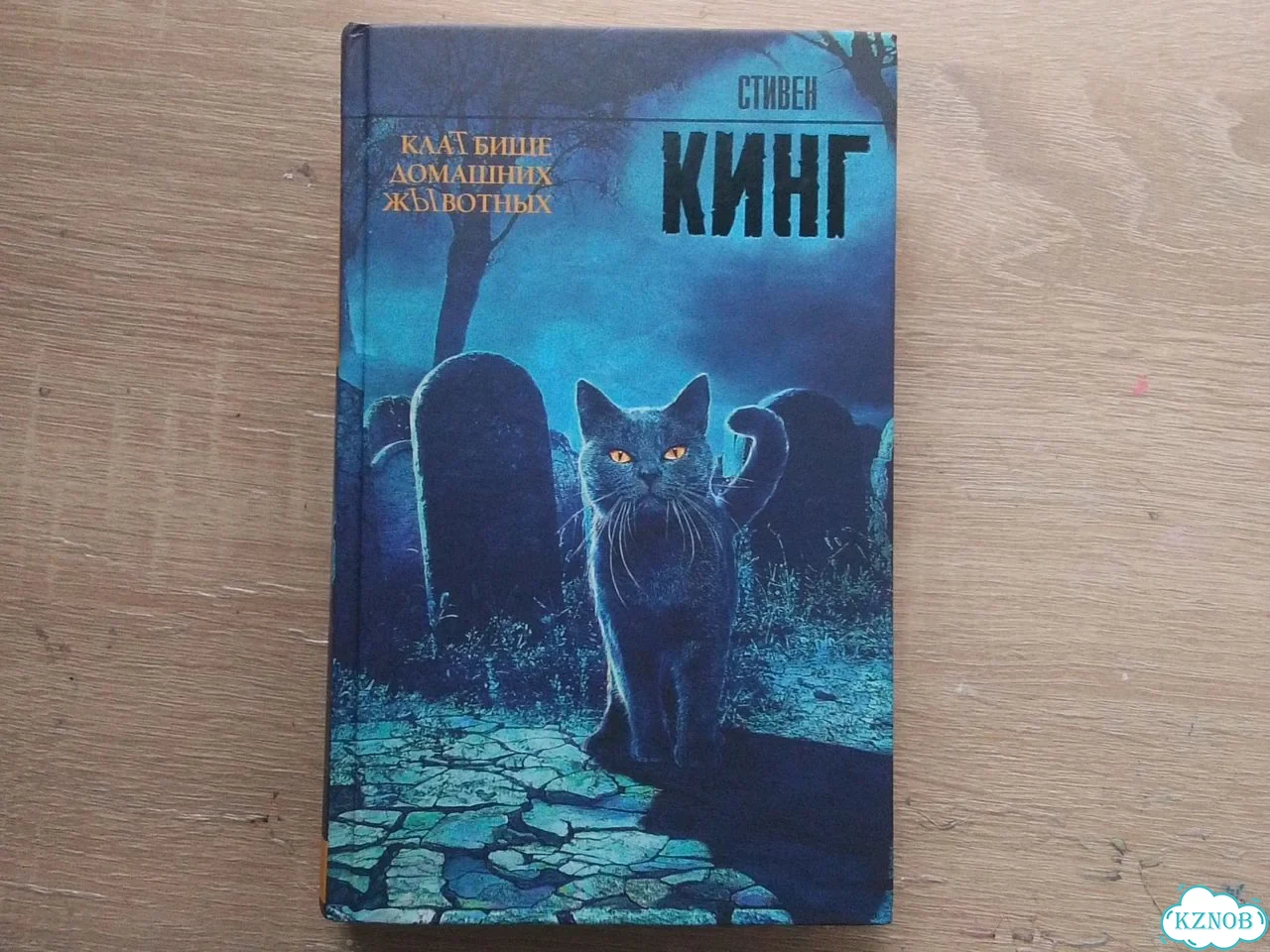 Стивен Кинг кладбище домашних животных фото 1