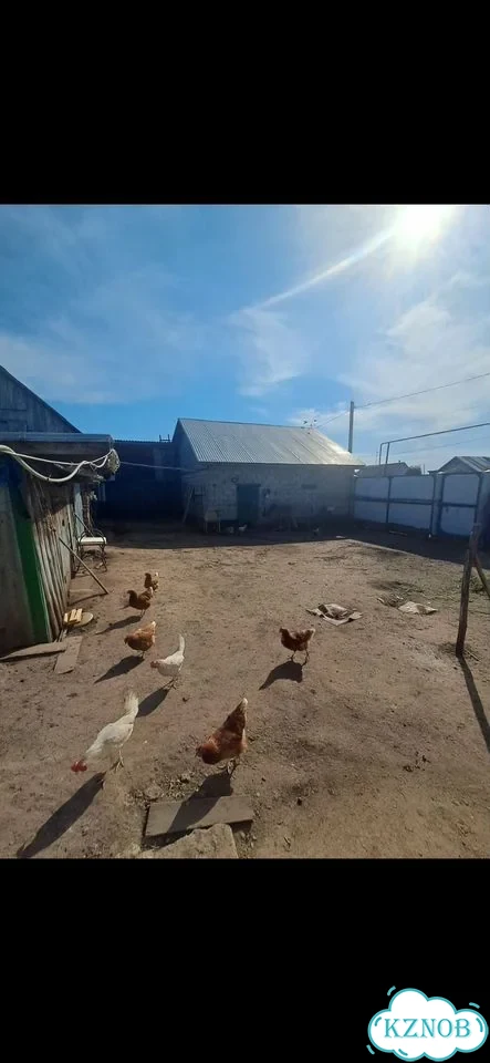 Дом 67,5 м² на участке 3,3 сот. фото 4