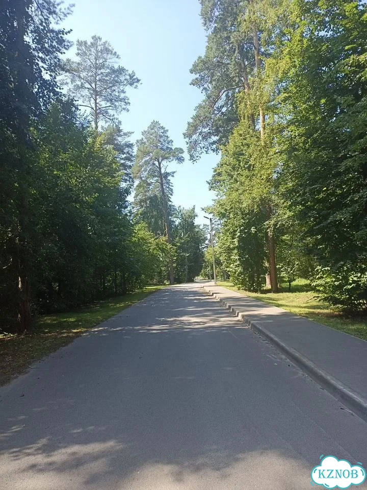 2-к. квартира, 70,4 м², 3/4 эт. фото 10