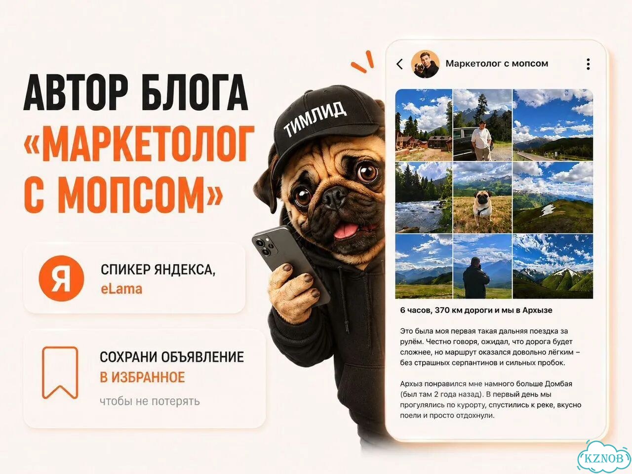 Директ под ключ+Продающий лендинг Казань фото 9