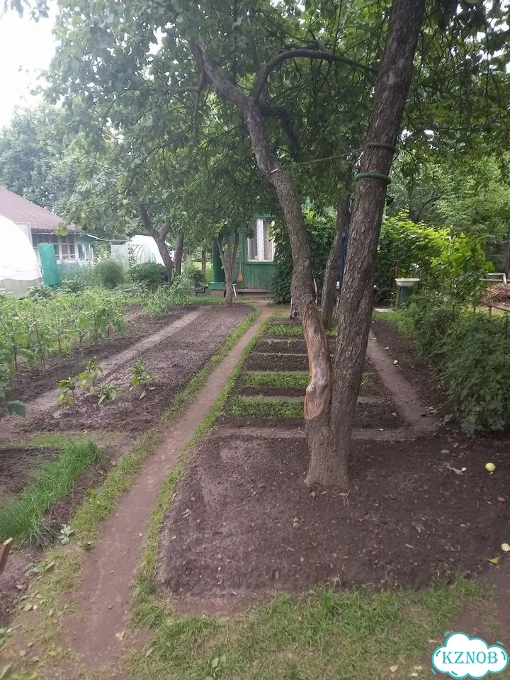 Дача 36,6 м² на участке 5 сот. фото 2