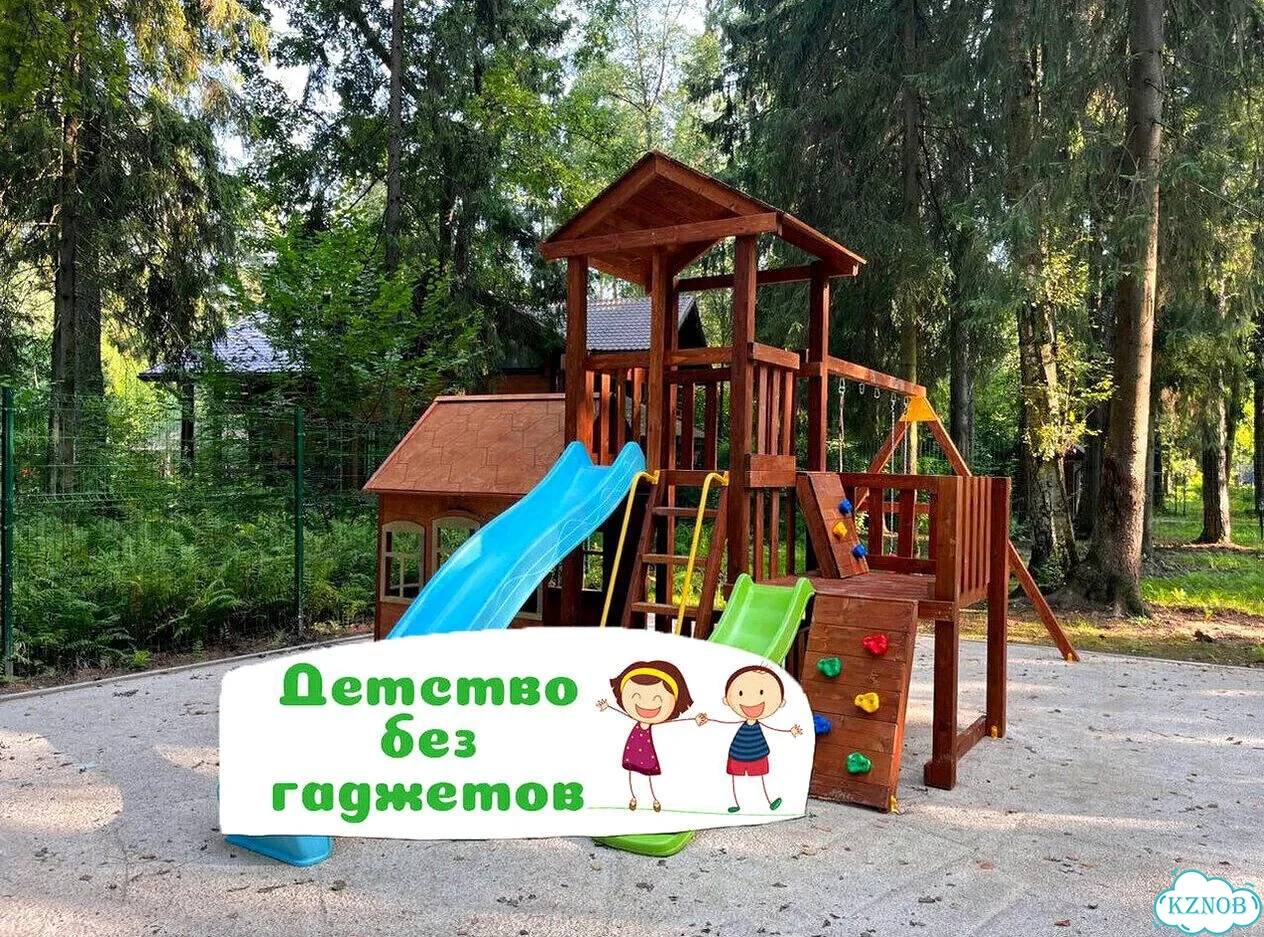 Детская площадка для дачи. Гарантия 5 лет фото 1