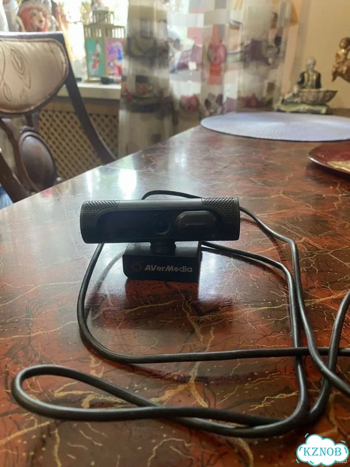 Веб-камера AVerMedia CAM PW315 фото 2