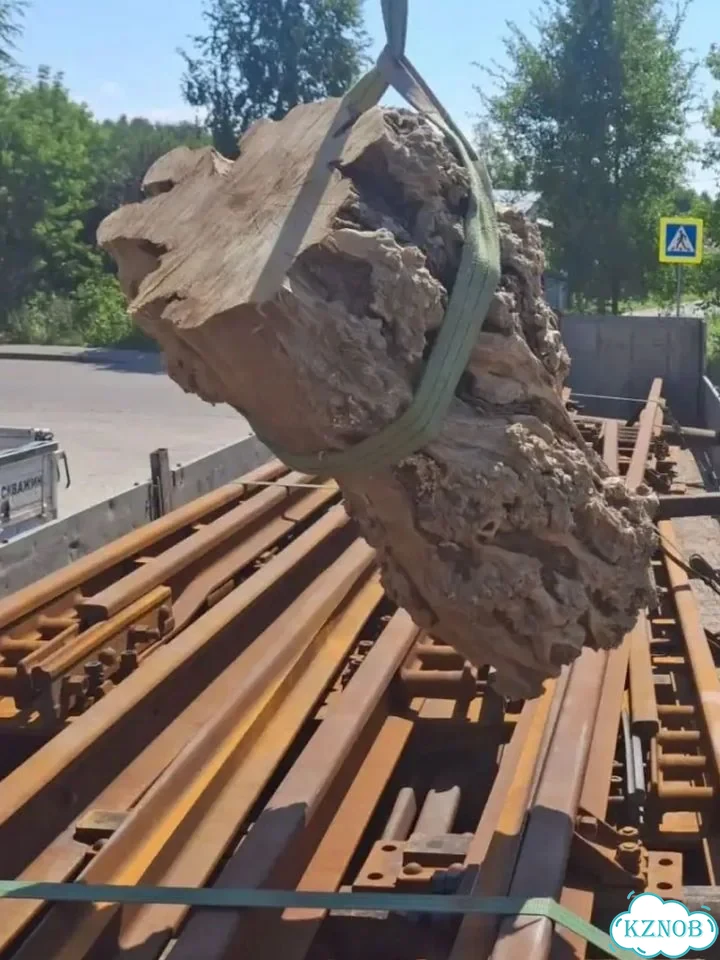 Слэб граб фото 2