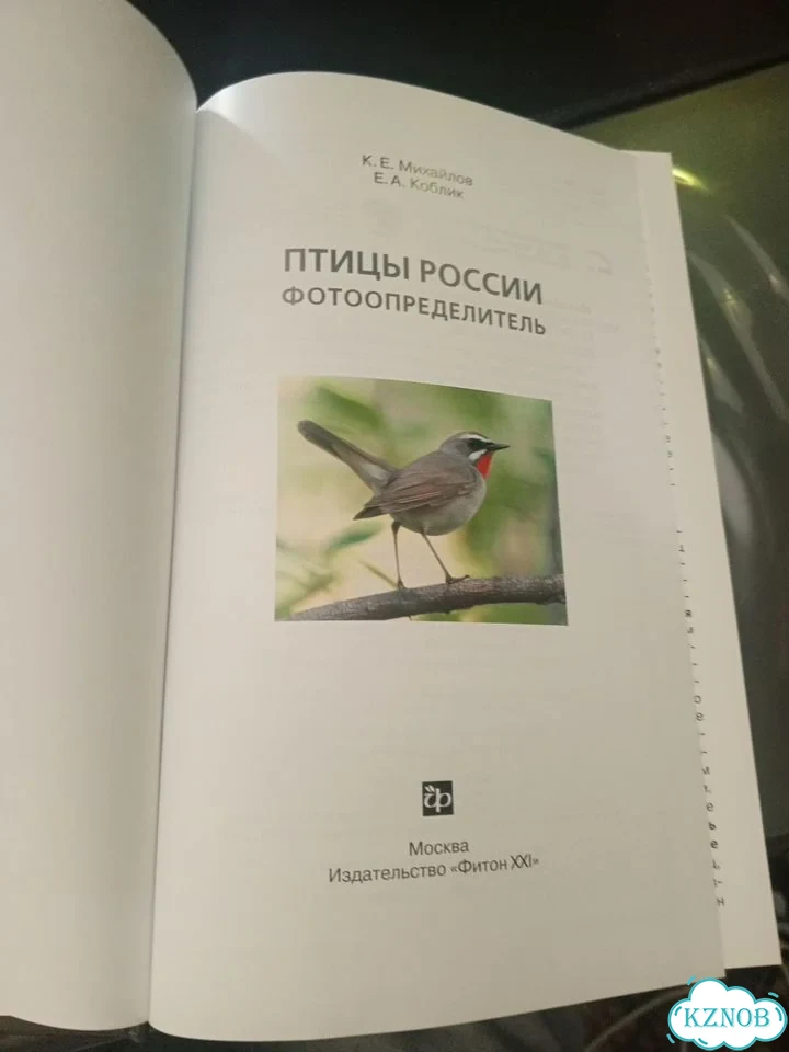 Когтеточка домик для кошки фото 3