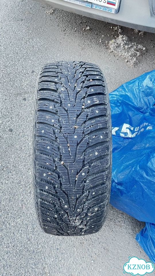 Nexen Winguard 205/55 R16 фото 1