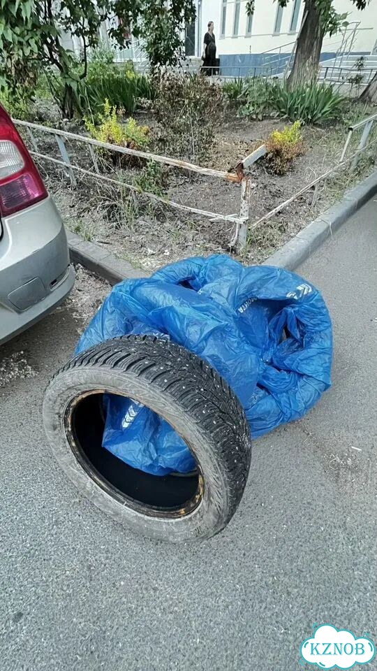 Nexen Winguard 205/55 R16 фото 2