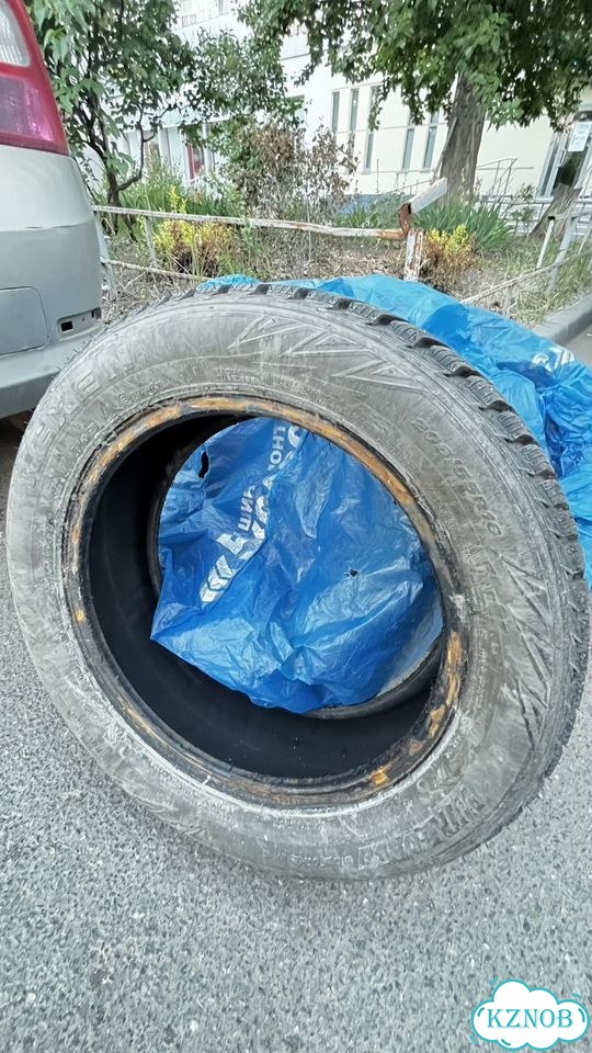 Nexen Winguard 205/55 R16 фото 3