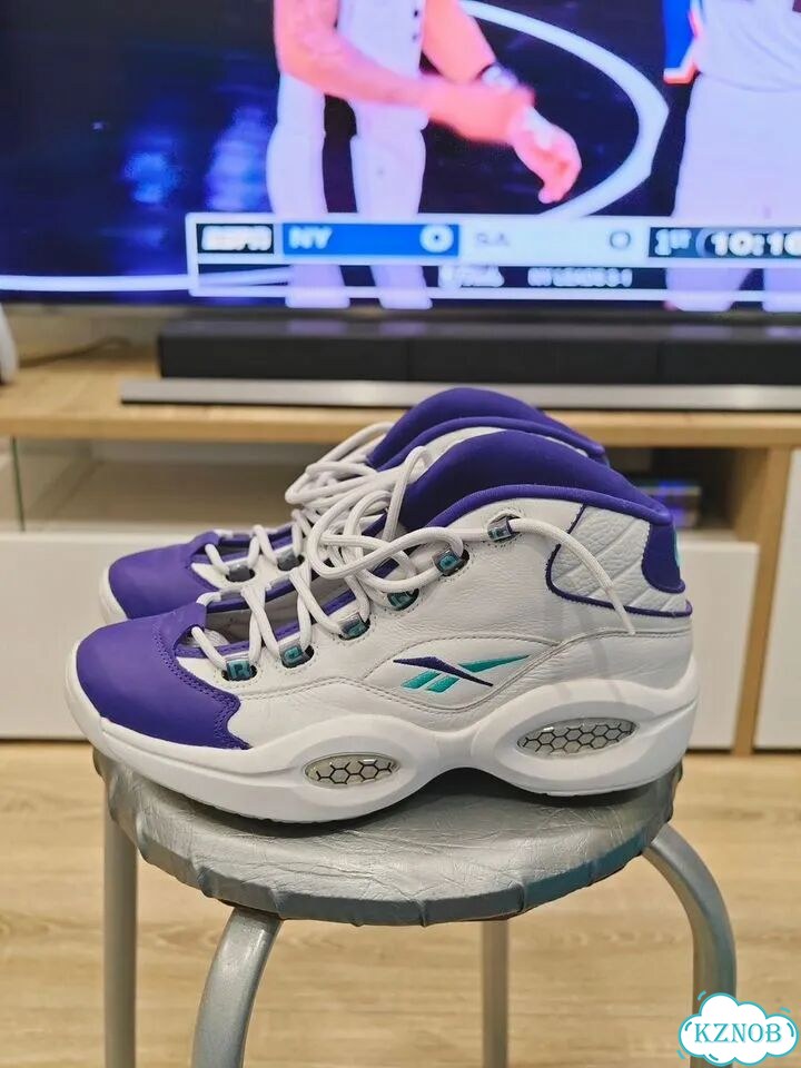 Мужские кроссовки reebok Iverson фото 1