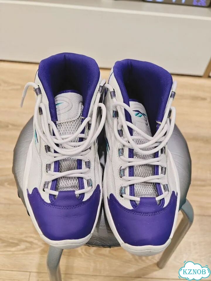 Мужские кроссовки reebok Iverson фото 3