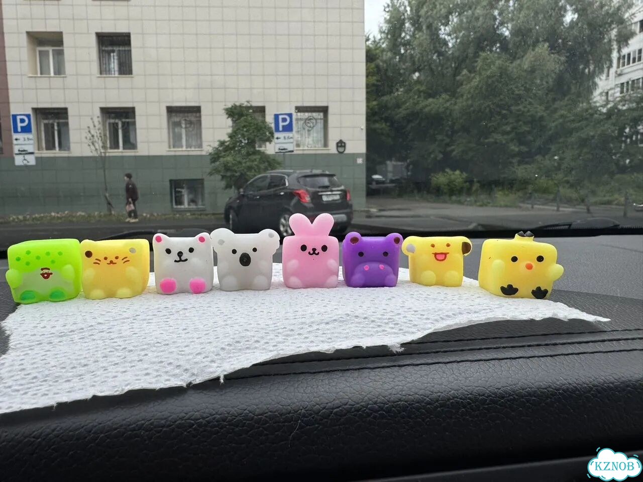 Сквиши фото 1