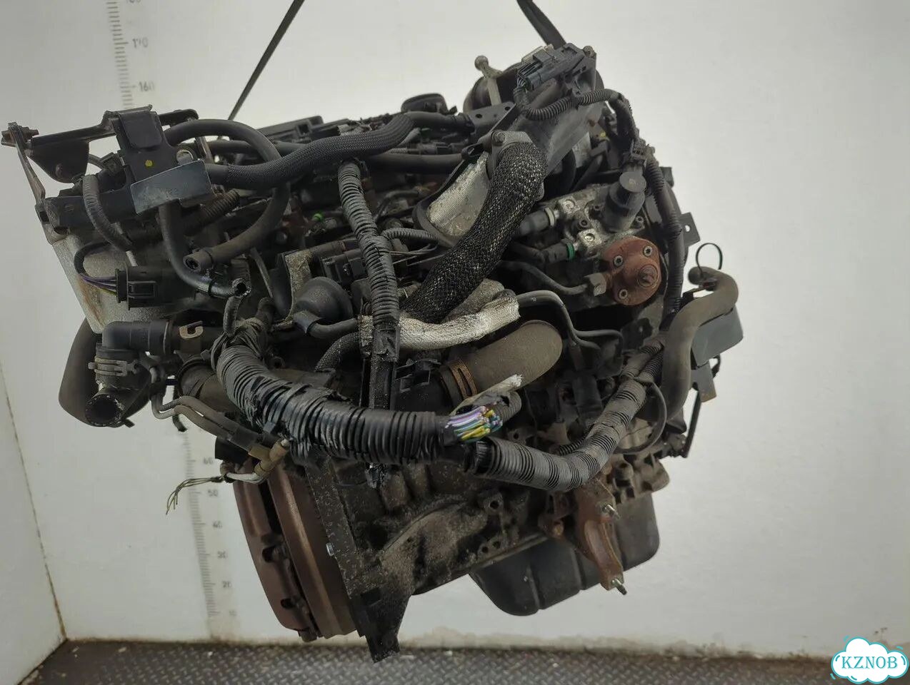 Двигатель Ford Fiesta T3JA фото 5