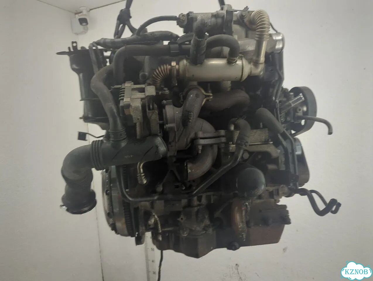 Двигатель Ford Mondeo 4 khba, qyba фото 4