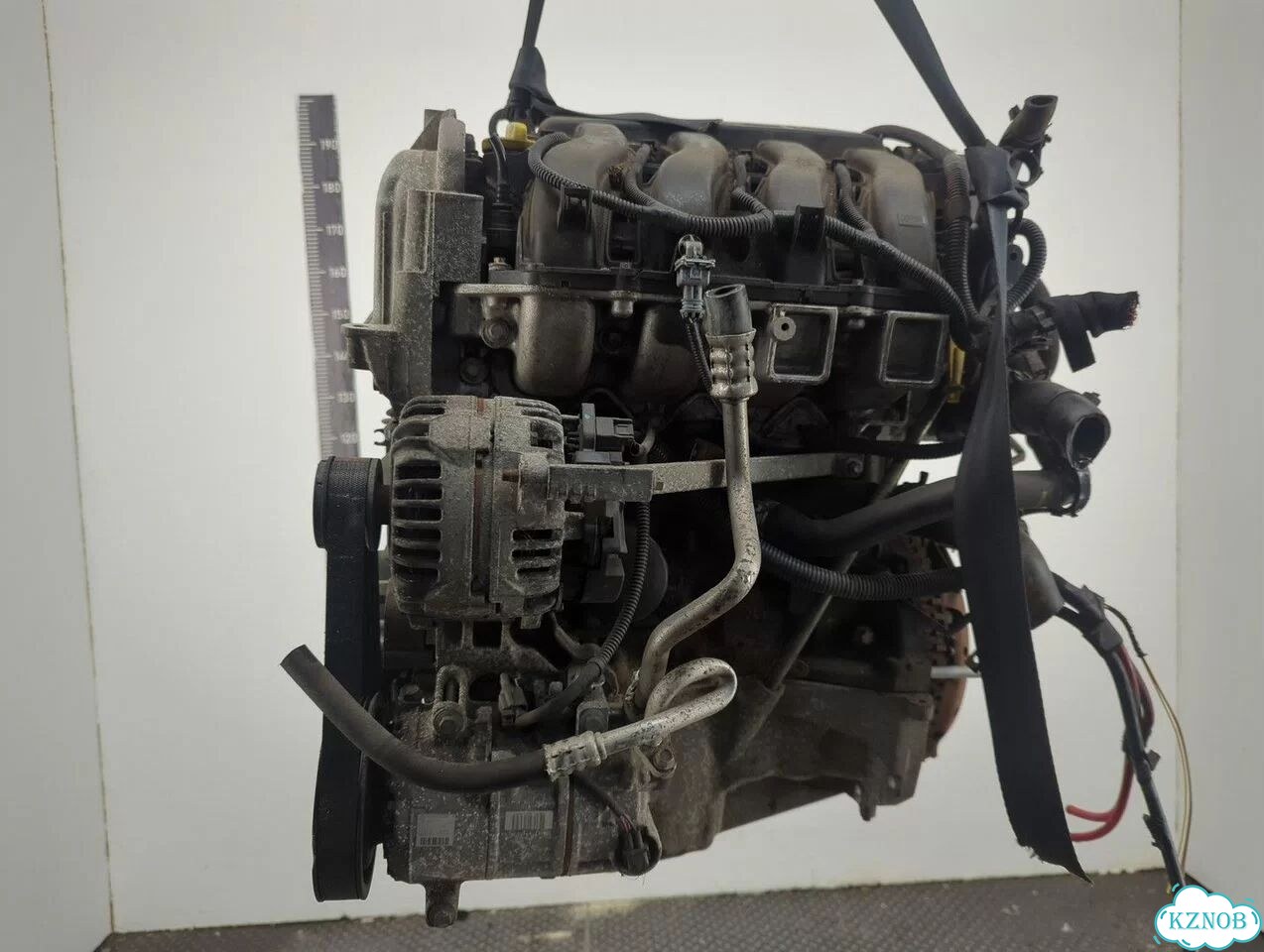 Двигатель Renault Megane 3 K4M 848 фото 5