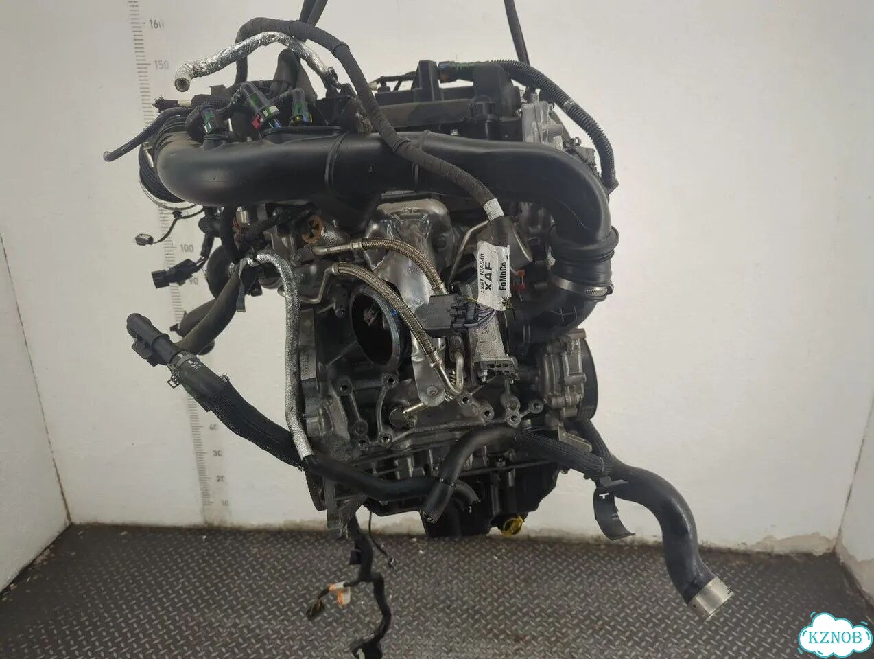 Двигатель Ford Bronco Sport Ecoboost 1.5 Dragon фото 2