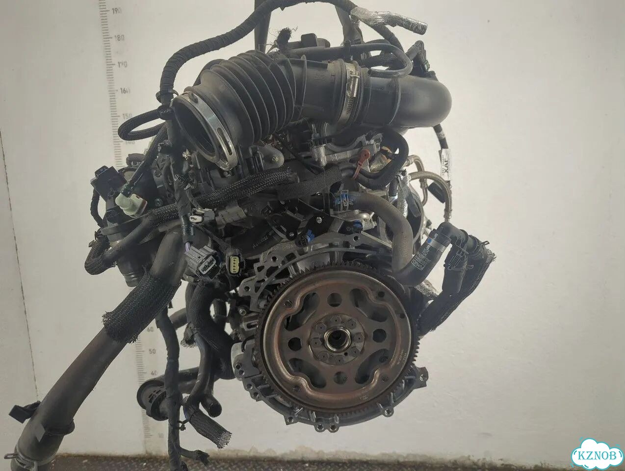 Двигатель Ford Bronco Sport Ecoboost 1.5 Dragon фото 3