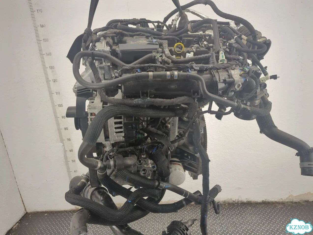 Двигатель Ford Bronco Sport Ecoboost 1.5 Dragon фото 4