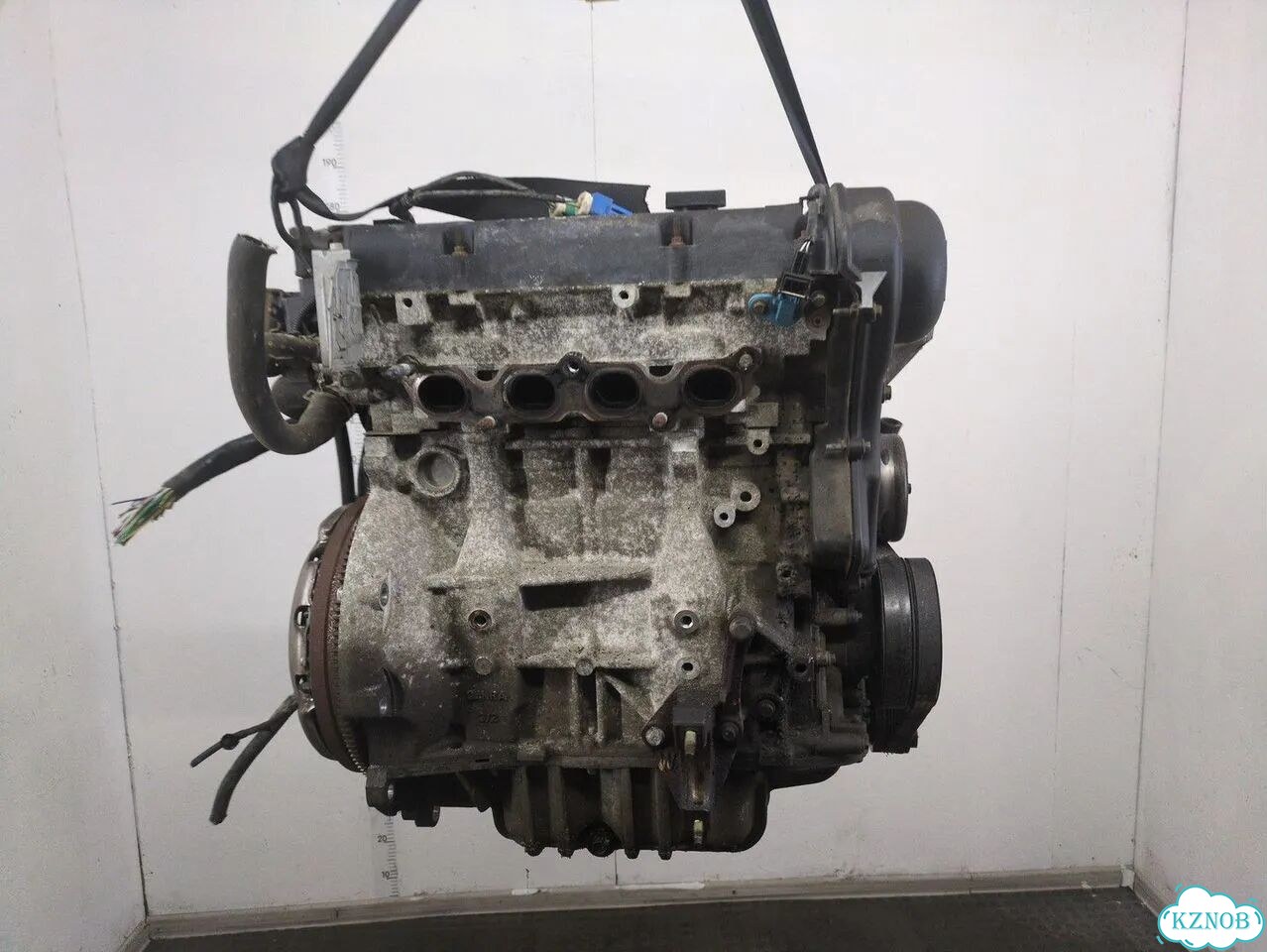Двигатель Ford Focus 2 hwda, hwdb фото 3