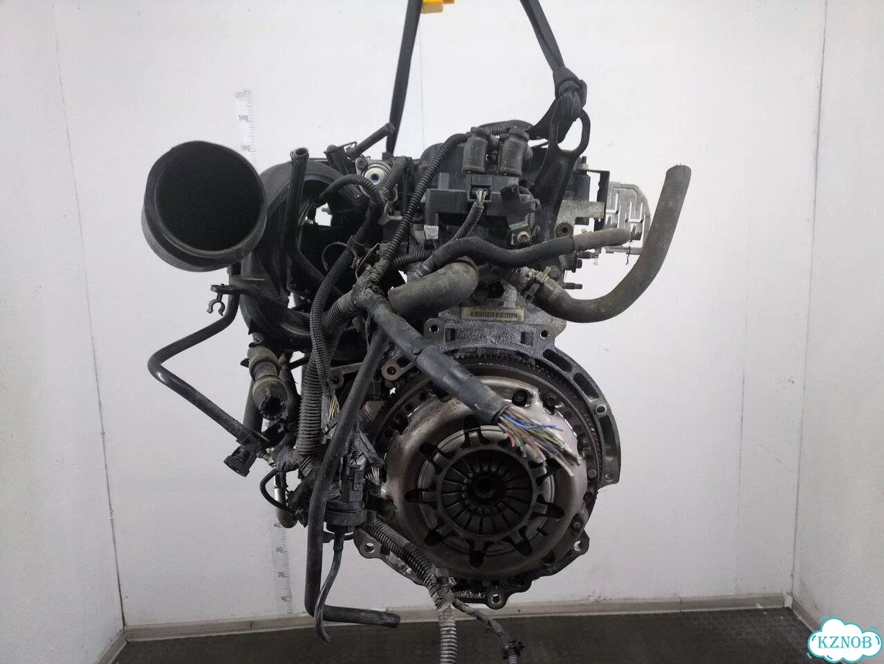 Двигатель Ford Focus 2 hwda, hwdb фото 4