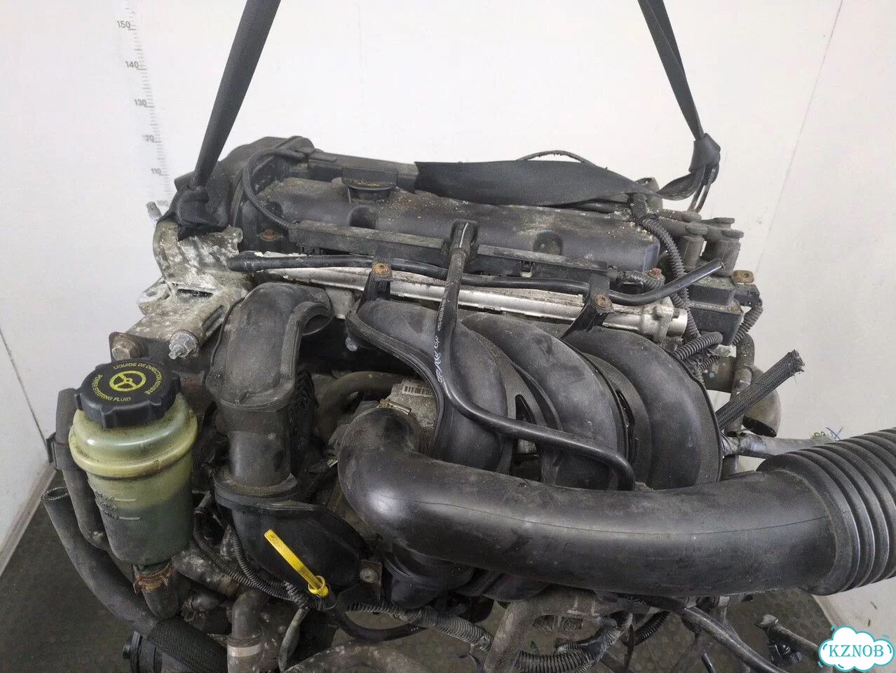 Двигатель Ford Focus 2 hwda, hwdb фото 8