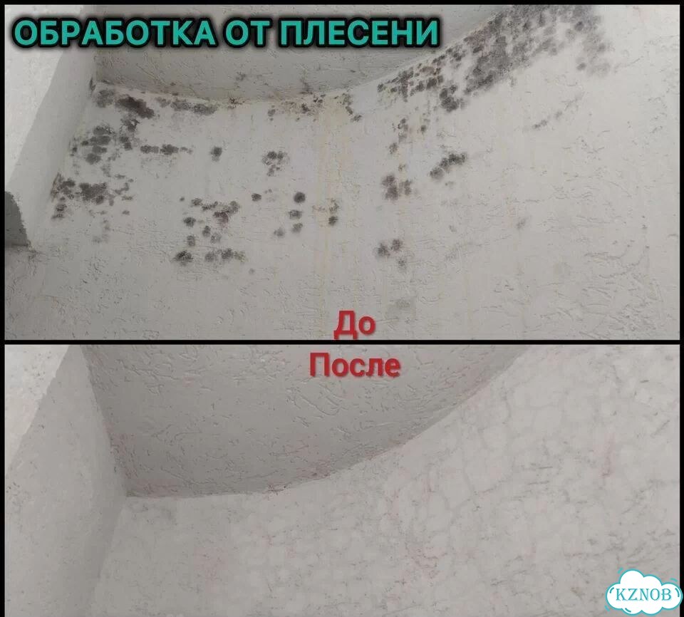 Уничтожение Плесени Обработка От Грибка Гарантия фото 3